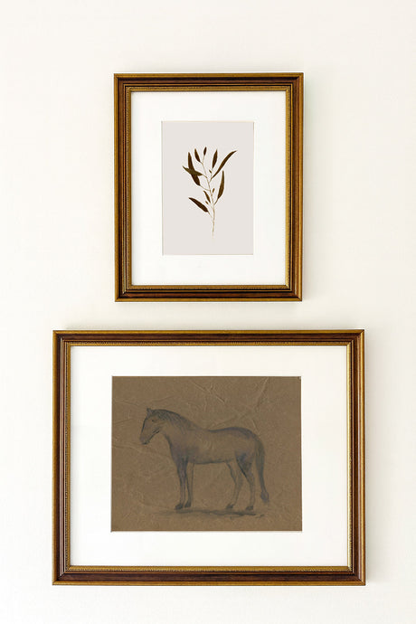 Stacked Set of 2 Art Prints - Botanical Art + Horse Painting
