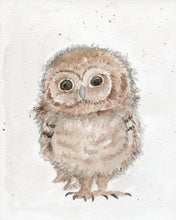 Load image into Gallery viewer, Baby Owl