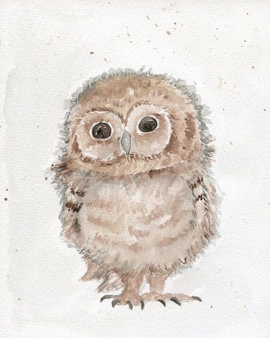 Baby Owl
