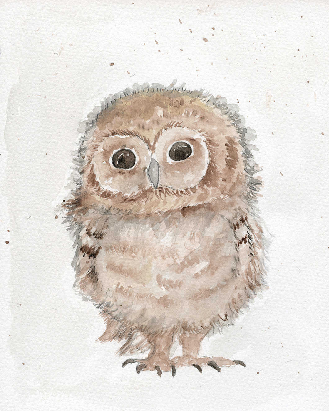 Baby Owl