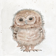 Load image into Gallery viewer, Baby Owl