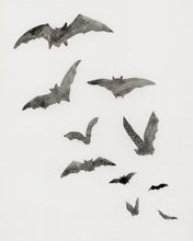 Load image into Gallery viewer, Bats - Halloween Print - FREE Digital Download