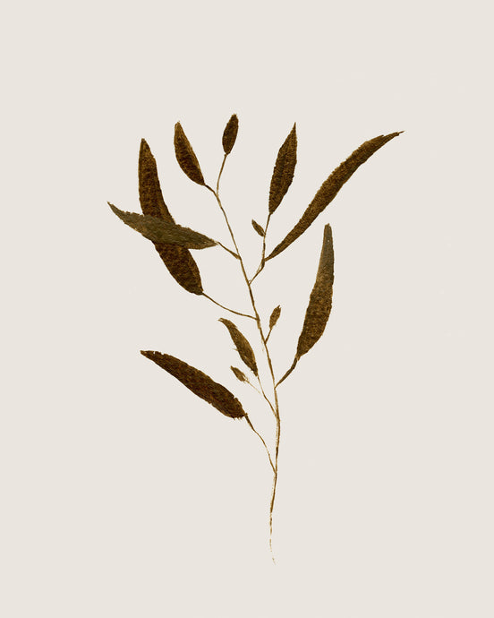Botanical I