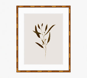 Botanical I
