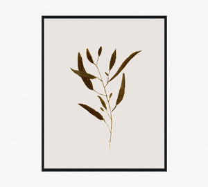 Botanical I
