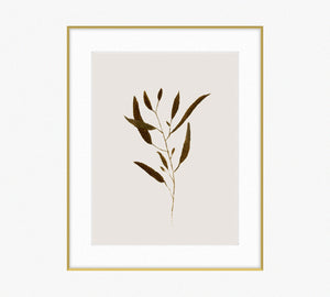 Botanical I