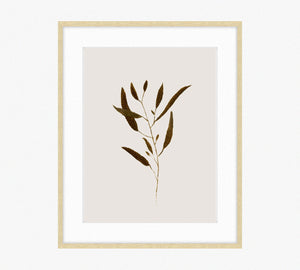 Botanical I
