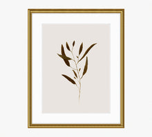 Load image into Gallery viewer, Botanical I