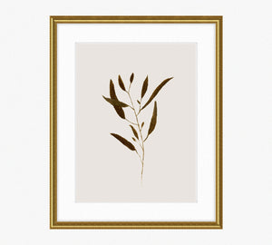 Botanical I