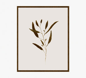 Botanical I