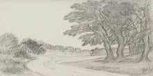 Load image into Gallery viewer, Country Roads