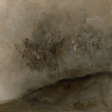 Load image into Gallery viewer, Mystery