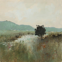 Load image into Gallery viewer, Open Land