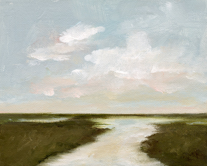 Salt Marsh
