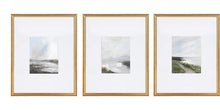 Load image into Gallery viewer, Set 38 - Set of 3 Art Prints