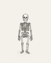 Load image into Gallery viewer, Halloween Skeleton Sketch - Digital Download