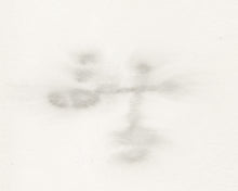 Load image into Gallery viewer, Diffuse II