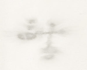 Diffuse II
