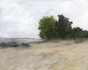 European Meadows