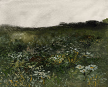 Load image into Gallery viewer, Field At Dusk