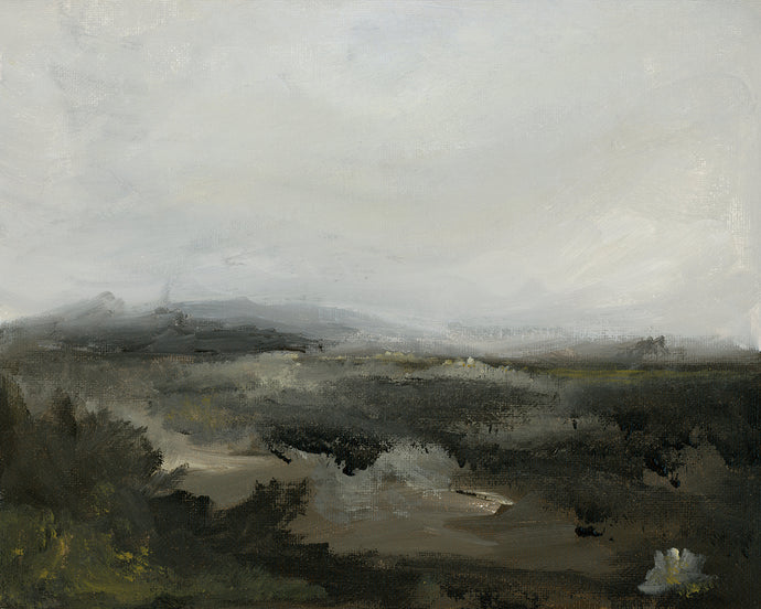 Irish Countryside