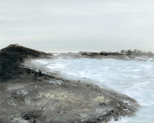 Newport Shoreline