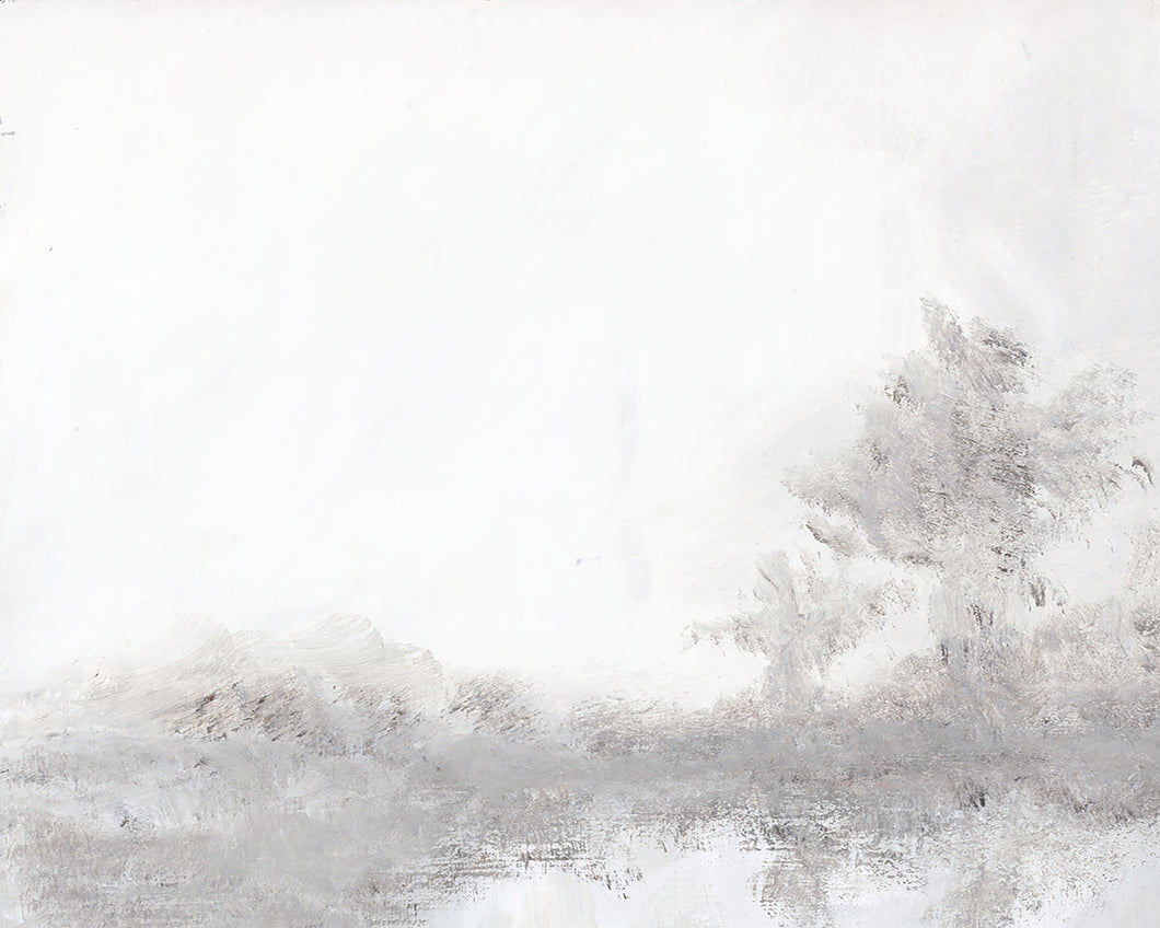 Quiet Morning