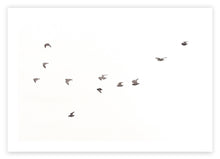 Load image into Gallery viewer, Set 5 - Gallery Wall