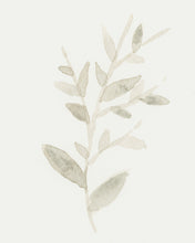 Load image into Gallery viewer, Soft Studies No. 1
