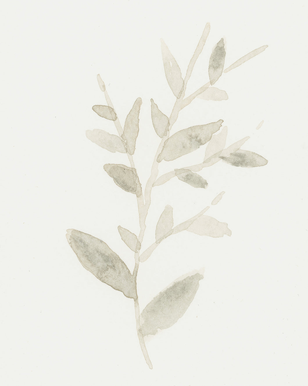 Soft Studies No. 1