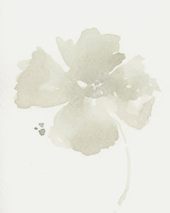 Soft Studies No. 2
