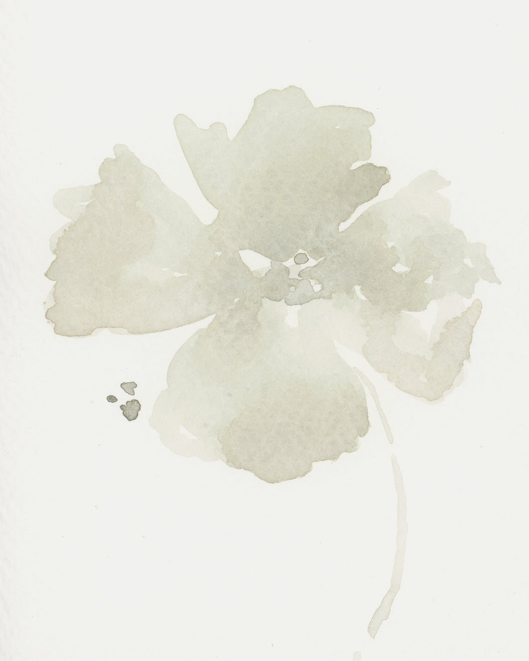Soft Studies No. 2