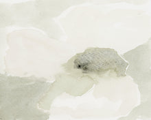 Load image into Gallery viewer, Soft Studies No. 3