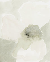 Load image into Gallery viewer, Soft Studies No. 3