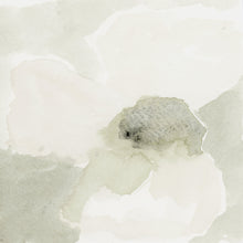 Load image into Gallery viewer, Soft Studies No. 3