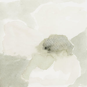Soft Studies No. 3