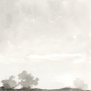 Still Series No. 1