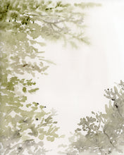 Load image into Gallery viewer, Through the Trees