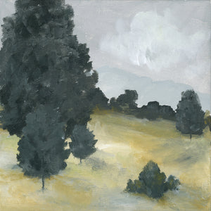 Tuscan Hills