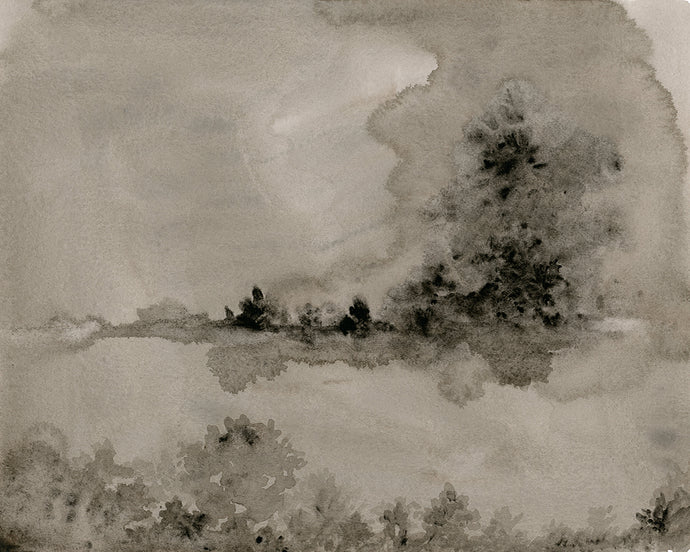 Vision I