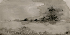 Vision I