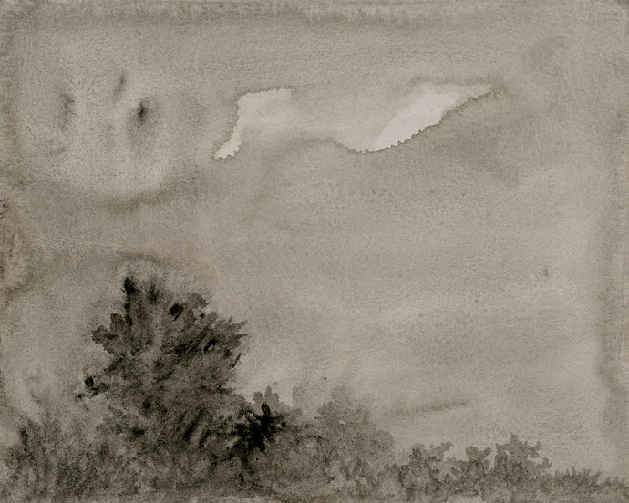 Vision II