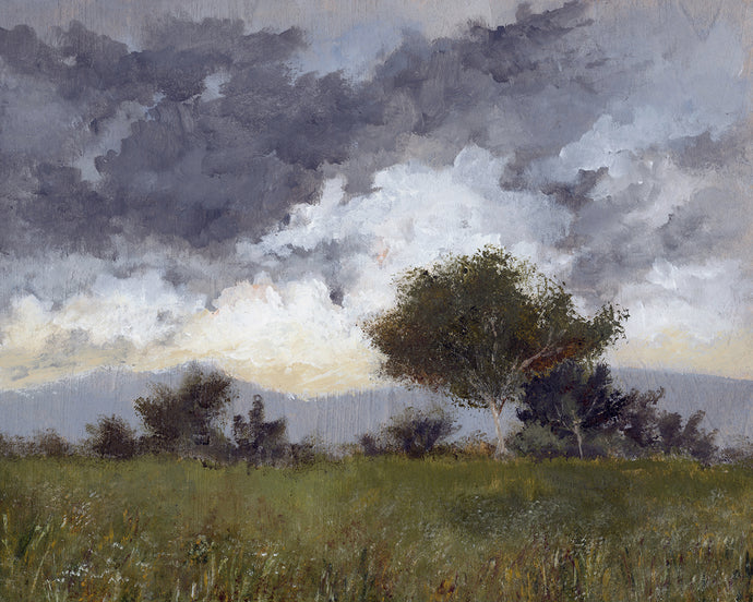 Wyoming Skyline
